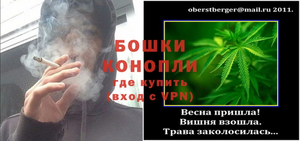 твердый Михайлов