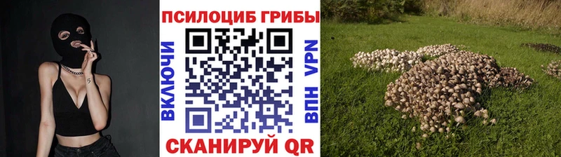 что такое наркотик  Красково  Псилоцибиновые грибы GOLDEN TEACHER 
